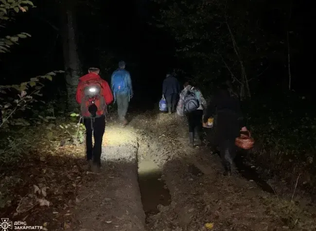 Під час збирання грибів у лісі на Мукачівщині заблукала родина