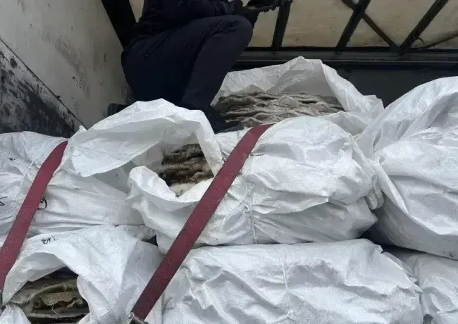 Митники на посту «Ужгород» вилучили контрабандне хутро вартістю $100 тисяч