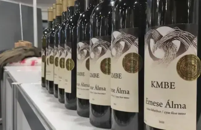 Всеукраїнський форум виноробів пройде у Мукачеві