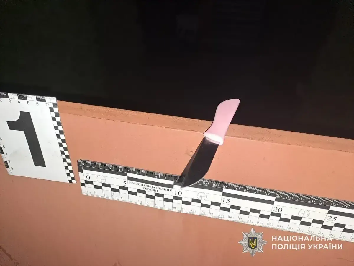 На Закарпатті чоловік напав на жінку з ножем: нападника затримали