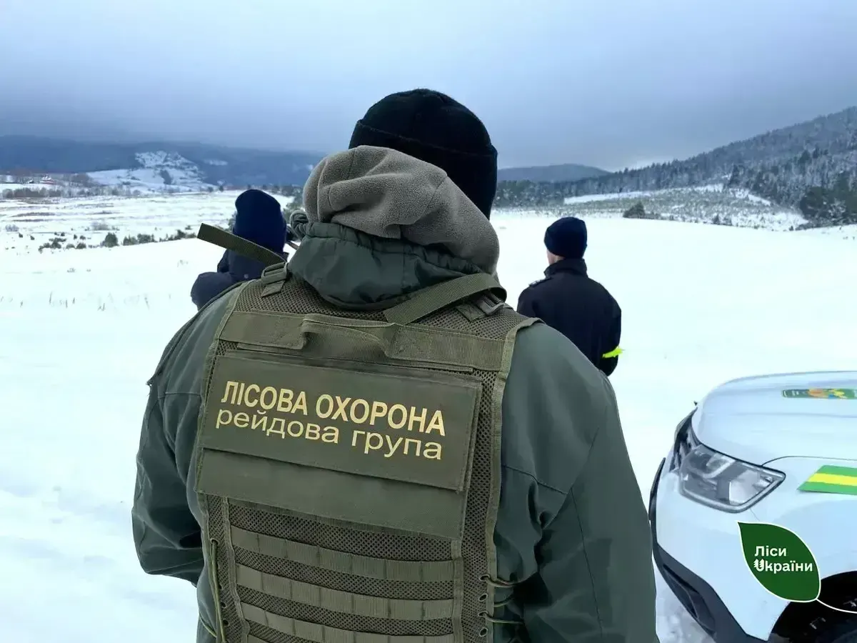 На Закарпатті перед святами посилили охорону хвойних лісів