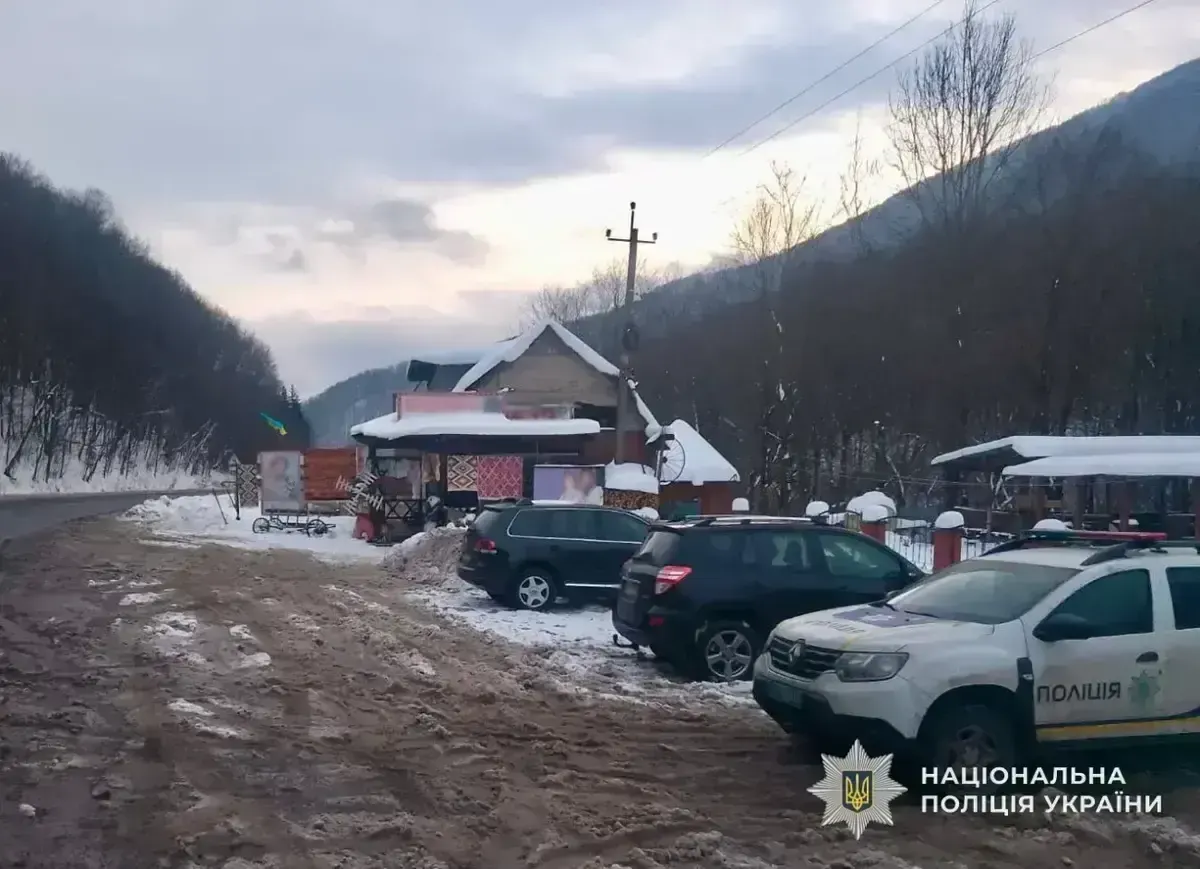 На Закарпатті собаки напали на туристку з двома дітьми: що відомо станом на цей момент
