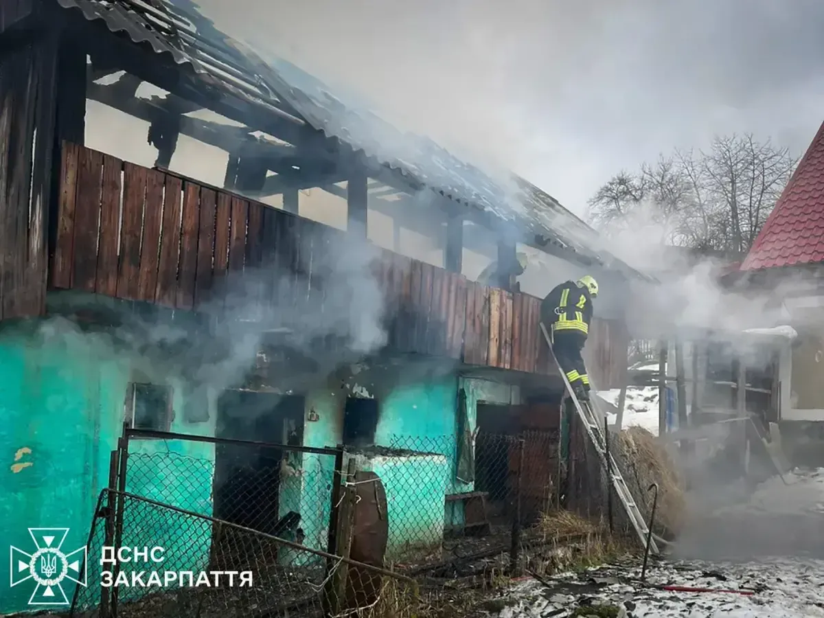 На Закарпатті трапилася пожежа: якби не онука - все згоріло б вщент 