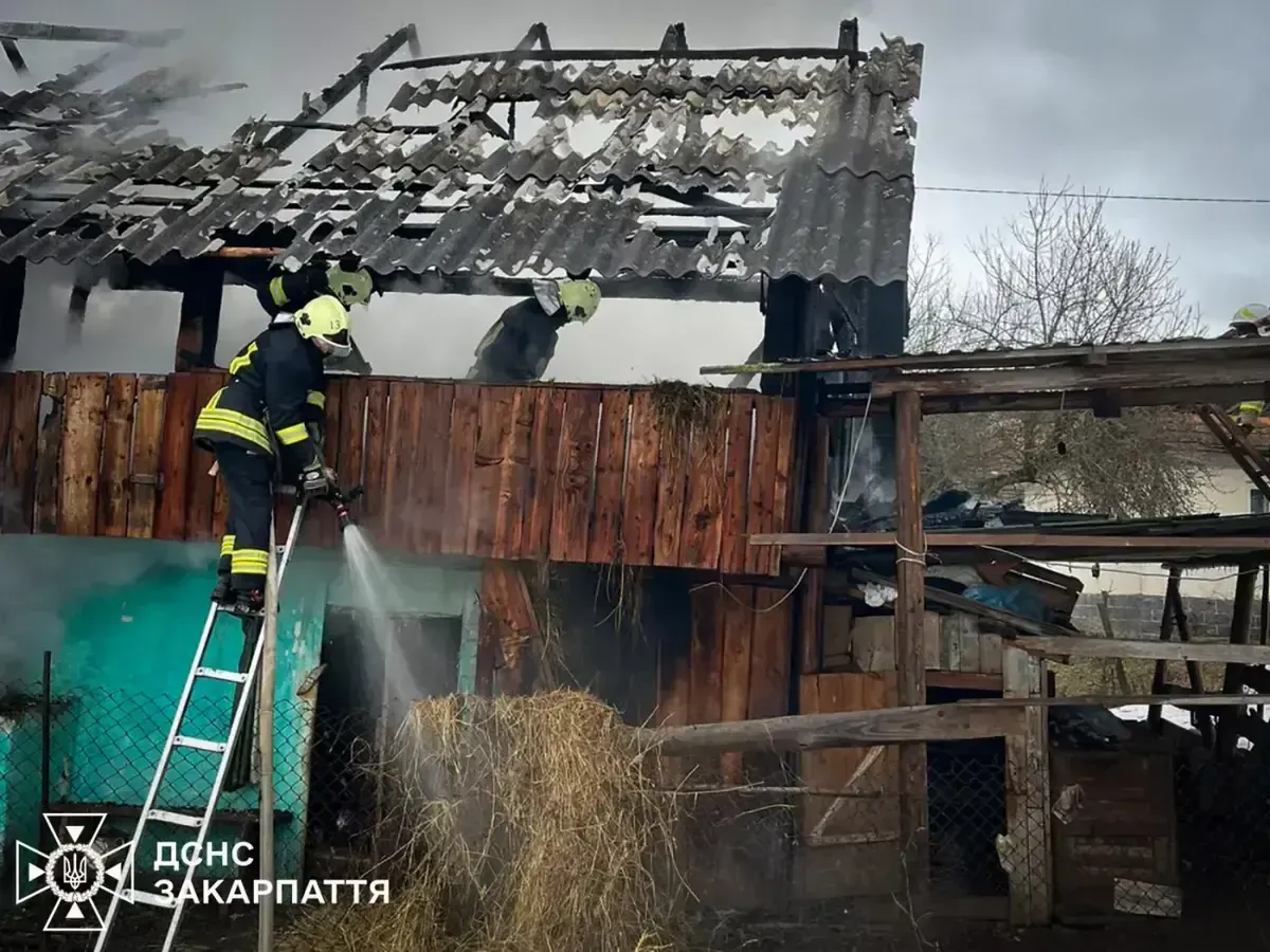 На Закарпатті трапилася пожежа: якби не онука - все згоріло б вщент 