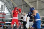 На Закарпатті завтра розпочнеться обласний чемпіонат з боксу