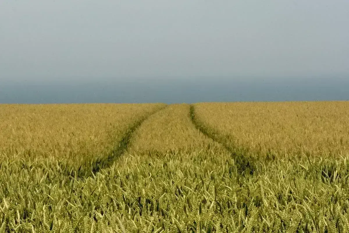 на херсонщині розкладали гроші на земельних ділянках