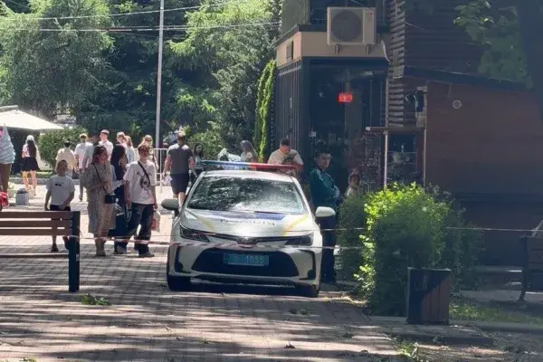 У Боздоському парку в Ужгороді дерево вирвало з корінням: фахівців закликають перевірити насадження