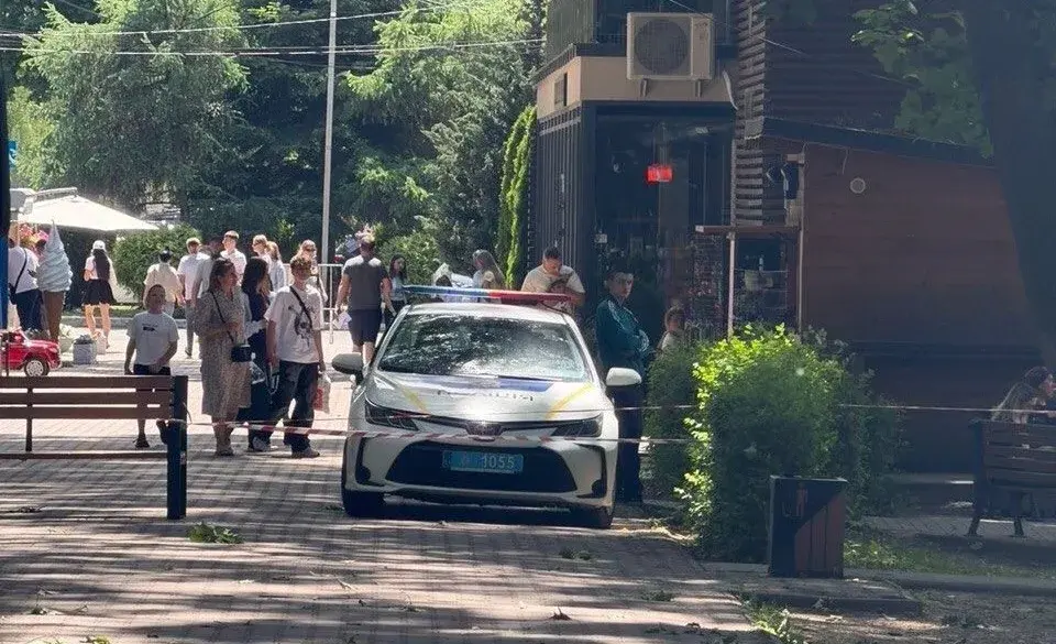 У Боздоському парку в Ужгороді дерево вирвало з корінням: фахівців закликають перевірити насадження