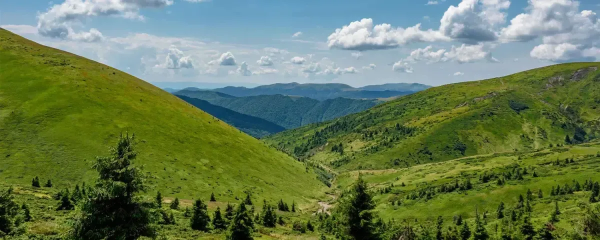 погода