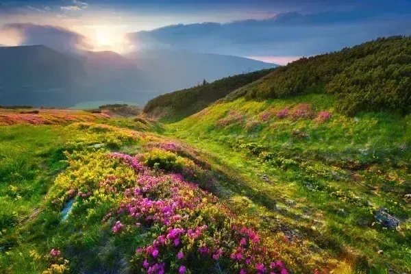 літо гори