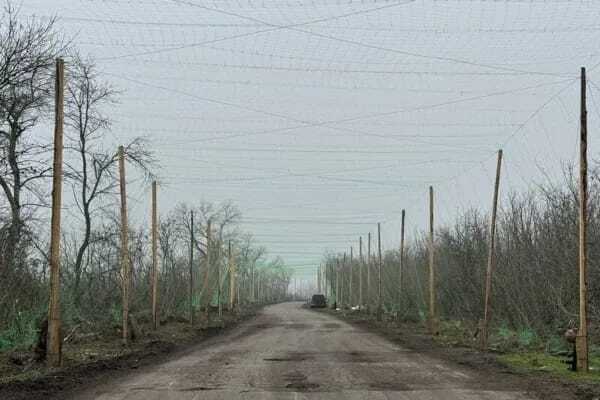 антидронові сітки