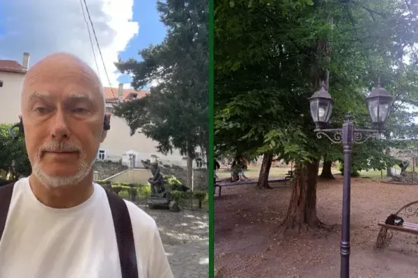 Фахівець із Польщі перевірив столітні дерева Ужгородського замку