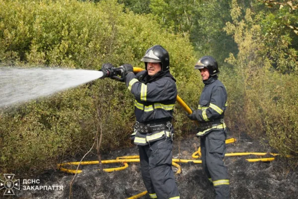 Поблизу Чопа рятувальники загасили масштабну пожежу сухої трави