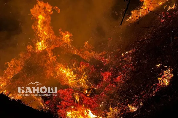 В Ужгороді біля каналу загорілася суха трава: пожежників викликали журналісти «Баноша». Відео
