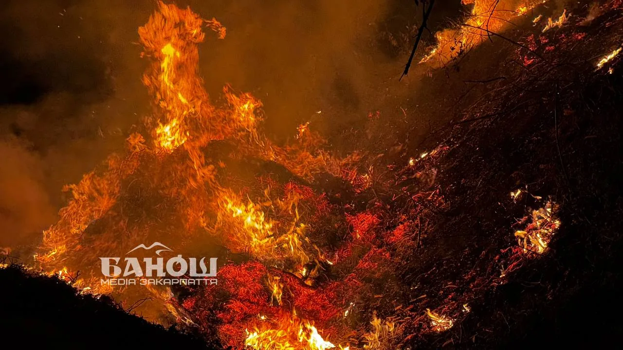 В Ужгороді біля каналу загорілася суха трава: пожежників викликали журналісти «Баноша». Відео