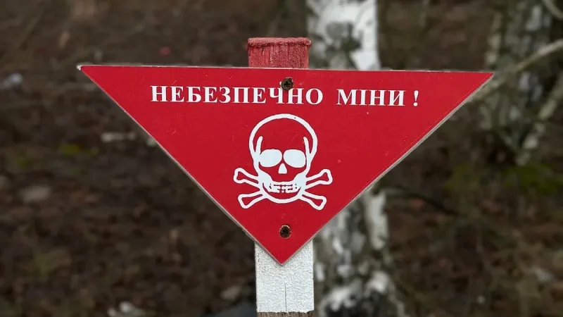 Двоє підлітків загинули на Сумщині після знаходження боєприпаса в полі