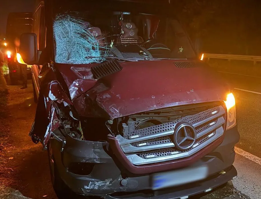 На трасі Київ — Чоп мікроавтобус на смерть збив чоловіка