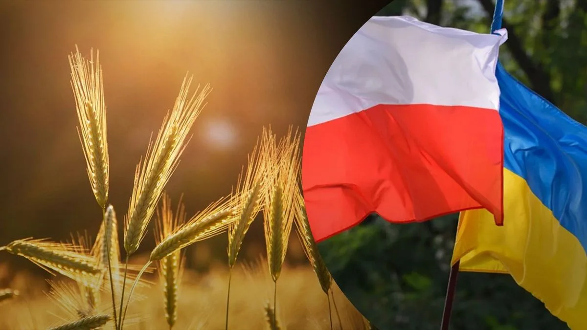 Оптимальна система оподаткування